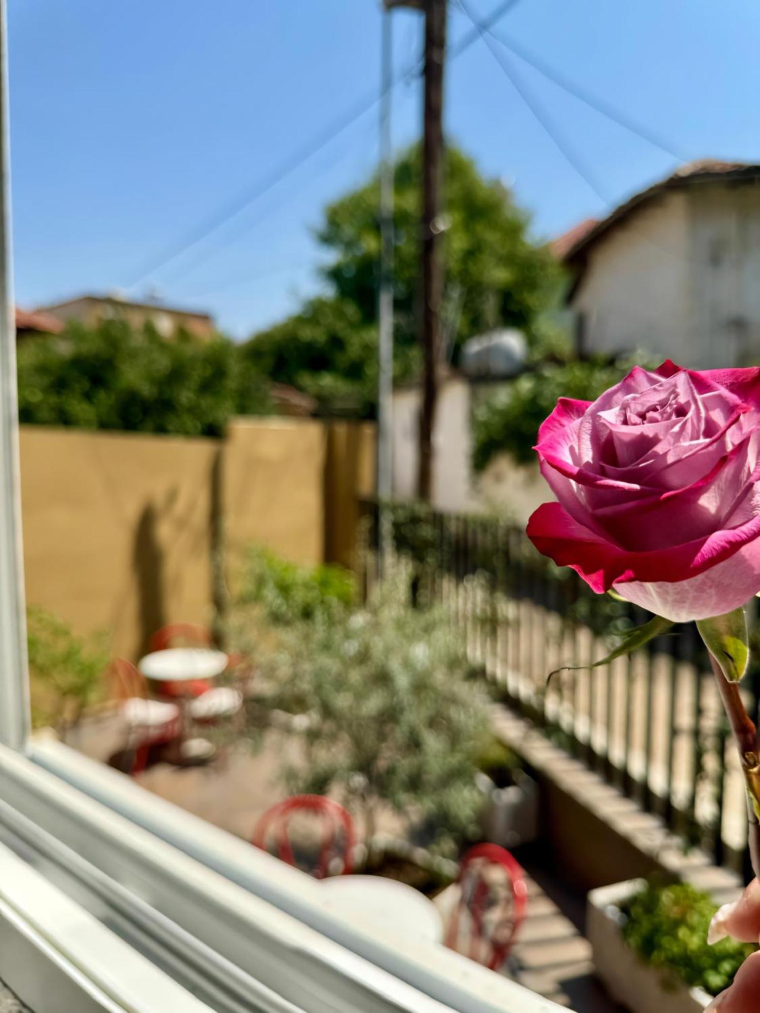 Vila Panto Tirana Kültér fotó